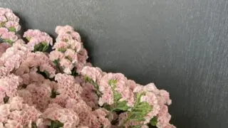 ニュアンスチース Rfp Blog るもいの花